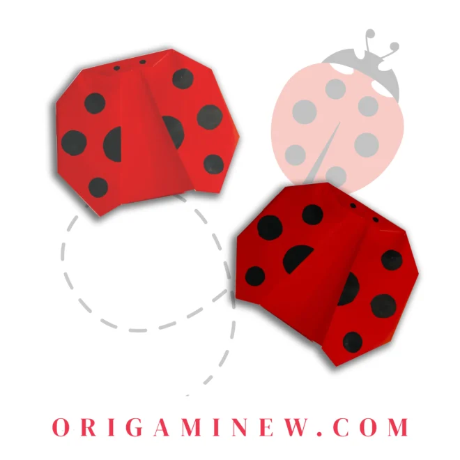 Origami Ladybird Step by Step